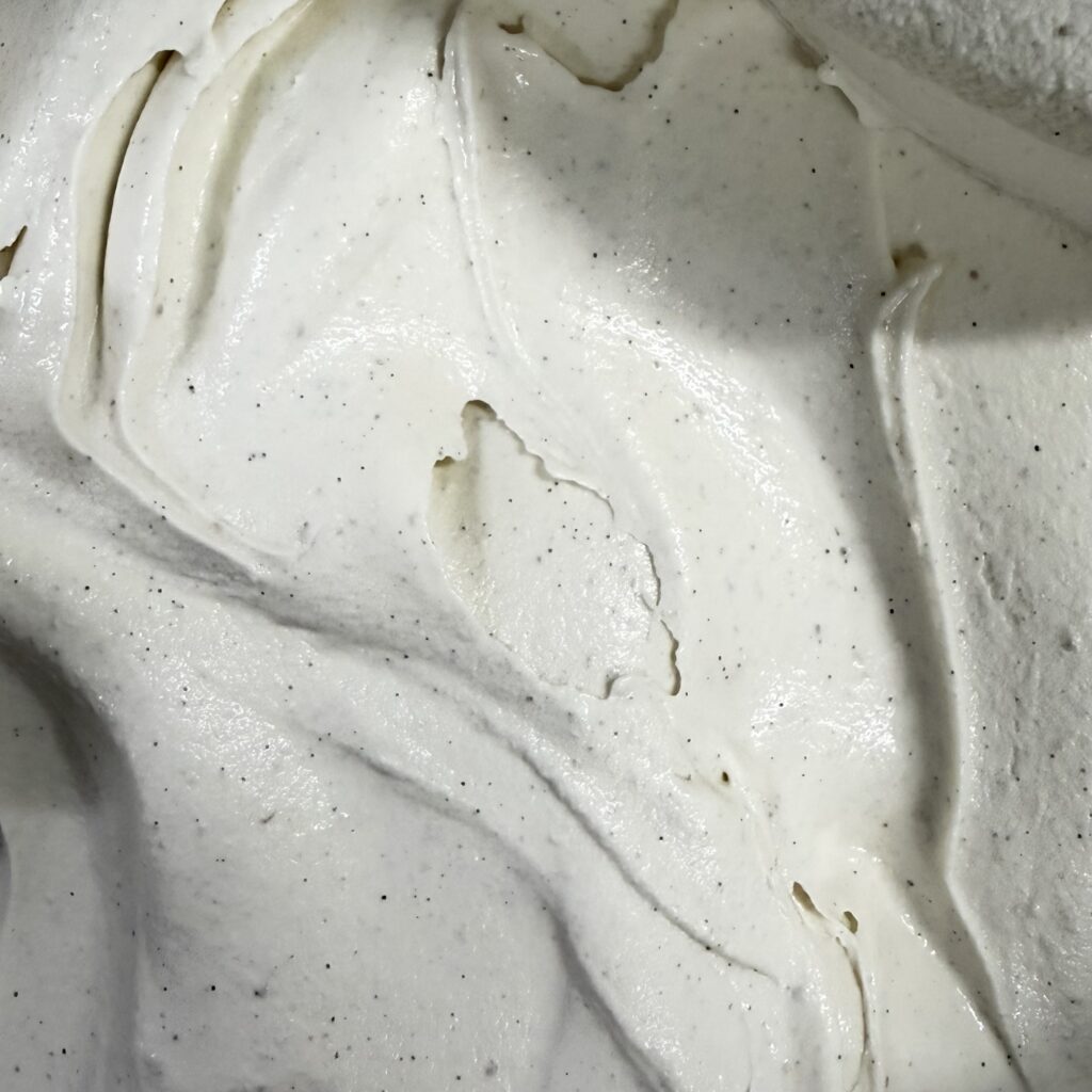 Vanilla gelato with seeds from Madagascar vanilla pods
