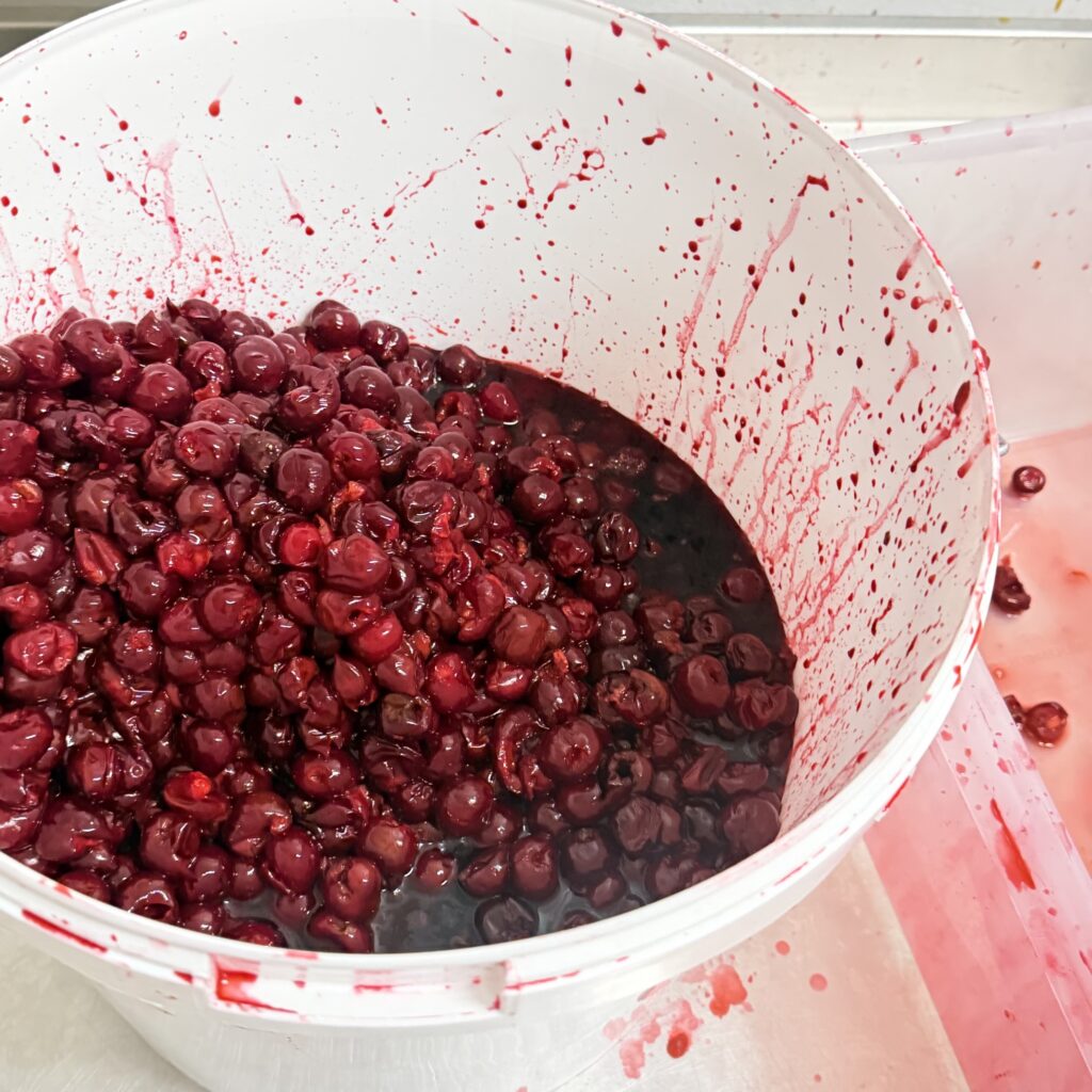 Pitted sour cherries in the 4 Tastes workshop